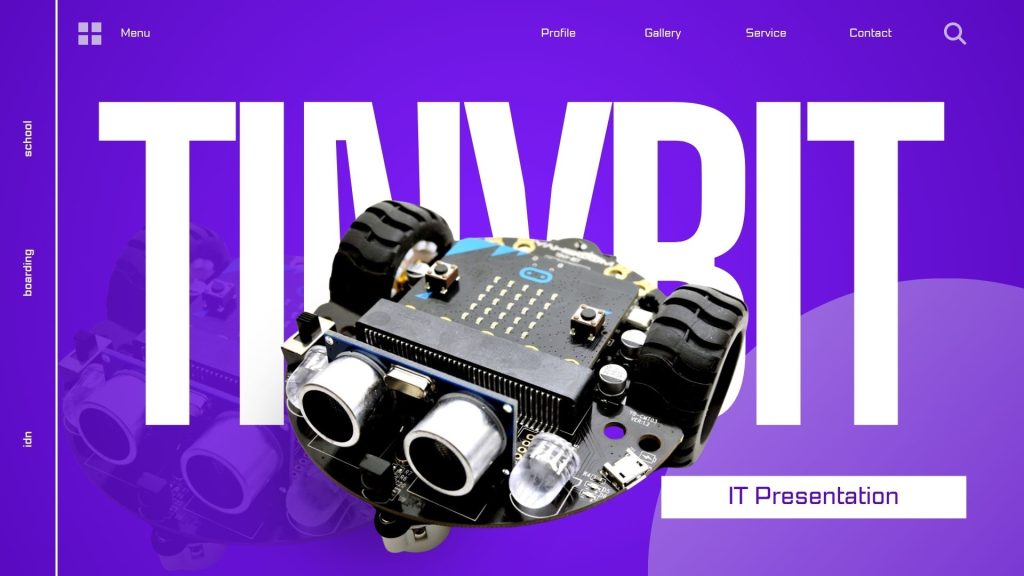 IT Presentation about Tiny bit